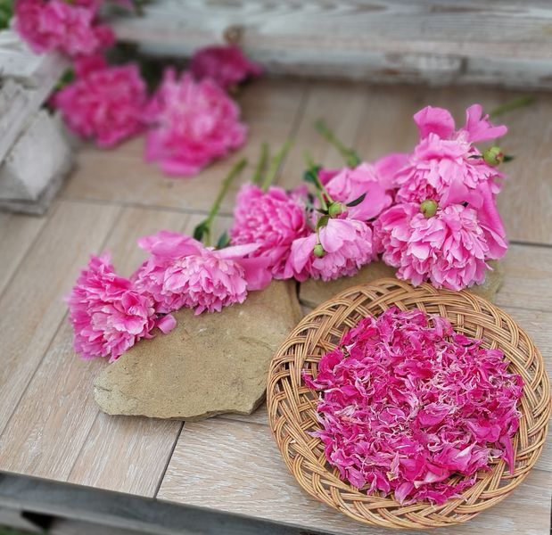 Пелюстки півонії сушені 15 г для декору свічок, саше, мила 1871788752 фото